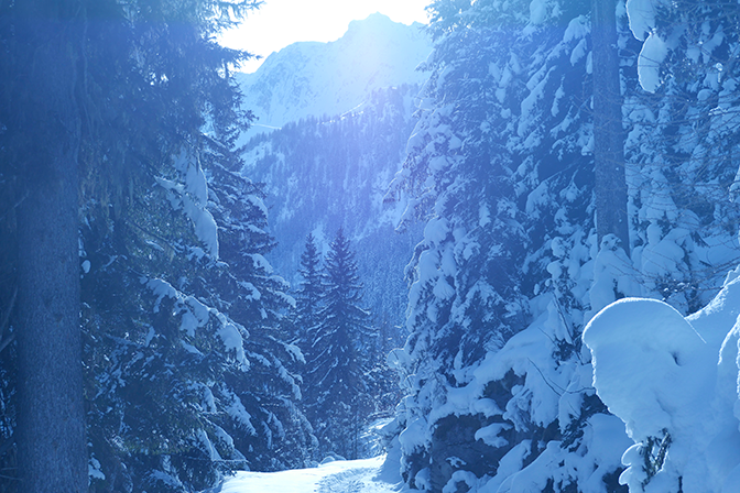 Paysage montagne enneigé