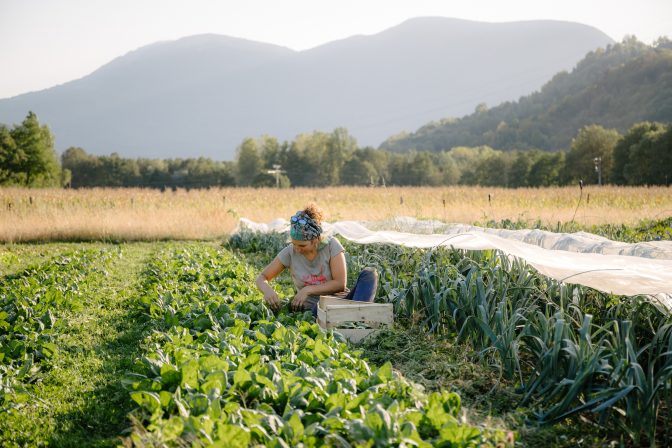 Agriculture