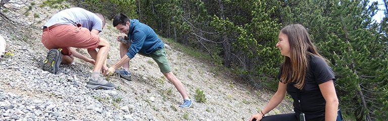 Pose de capteurs pour le projet Wilderpass